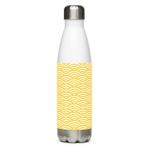 Stainless steel water bottle