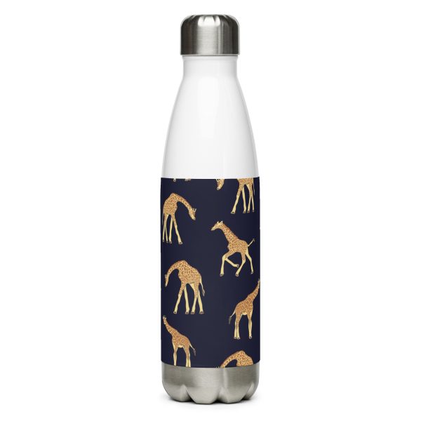 Stainless steel water bottle